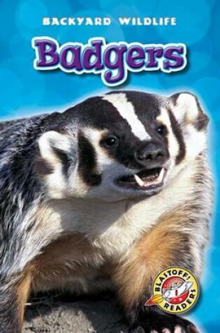 Cover of Badgers