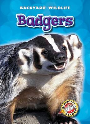 Cover of Badgers