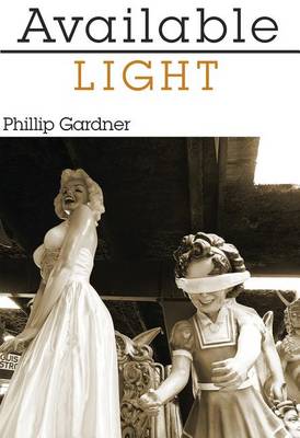 Book cover for Available Light