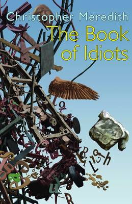 Book cover for The Book of Idiots