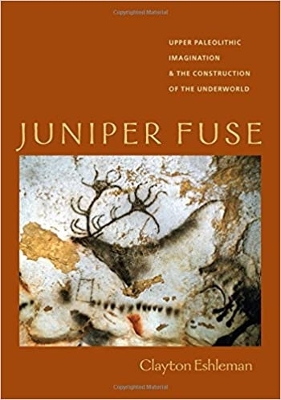 Book cover for Juniper Fuse