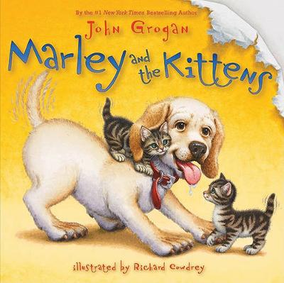 Book cover for Marley and the Kittens