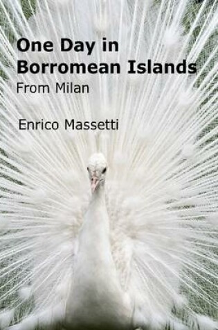 Cover of One Day in Borromean Islands from Milan