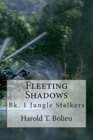 Cover of Fleeting Shadows