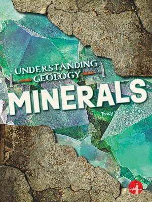 Book cover for Minerals