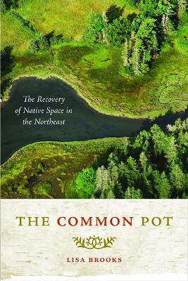 Book cover for The Common Pot