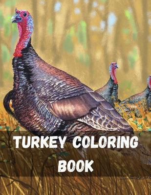 Book cover for Turkey Coloring Book