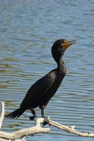 Cover of Double-Crested Cormorant (Phalacrocorax Auritus) Bird Journal