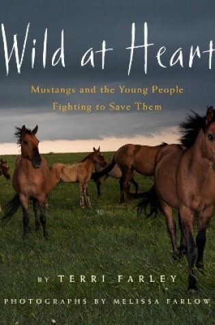 Cover of Wild at Heart: Mustangs and the Young People Fighting to Save Them