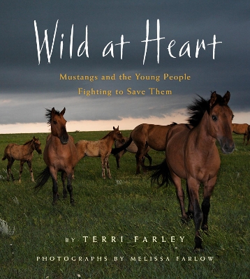 Book cover for Wild at Heart: Mustangs and the Young People Fighting to Save Them