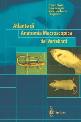 Book cover for Atlante di Anatomia Macroscopica dei Vertebrati