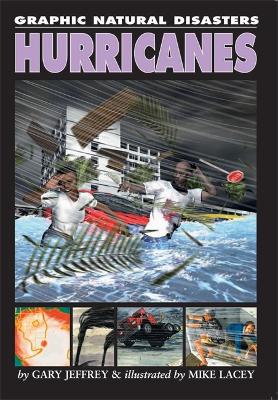 Book cover for Hurricanes