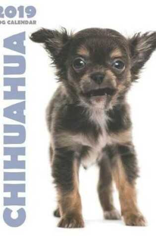 Cover of Chihuahua 2019 Dog Calendar