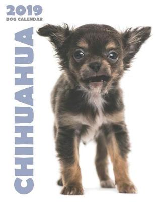 Book cover for Chihuahua 2019 Dog Calendar