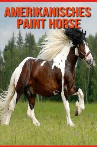 Cover of Amerikanisches Paint Horse