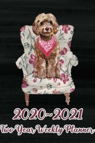 Cover of 2020 - 2021 Two Year Weekly Planner