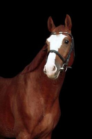 Cover of Chestnut Stallion Horse Portrait Journal