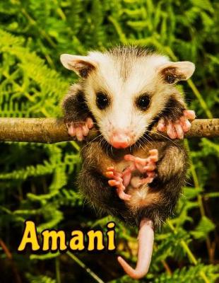 Book cover for Amani