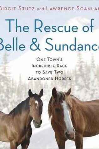 Cover of Rescue of Belle and Sundance One Town's Incredible Race to Save Two Abandoned Horses
