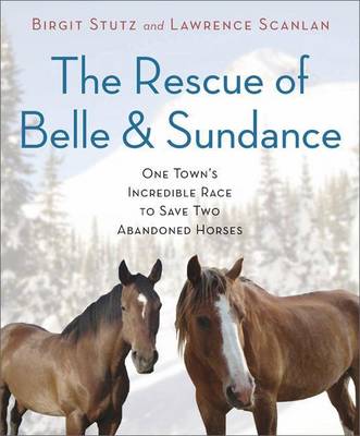 Book cover for Rescue of Belle and Sundance One Town's Incredible Race to Save Two Abandoned Horses