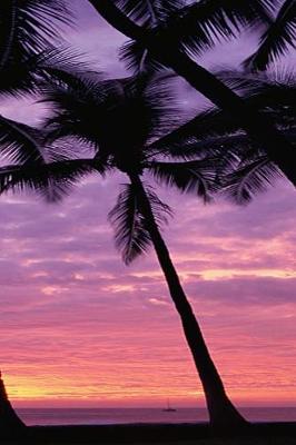 Cover of Palm Trees Sky Sunrise Sunset Journal