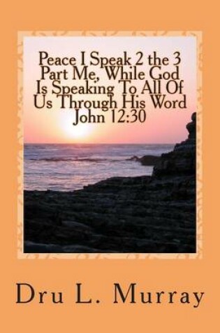 Cover of Peace I Speak 2 The 3 Part Me, While God Is Speaking 2 All Of Us, Through His Word, John 12