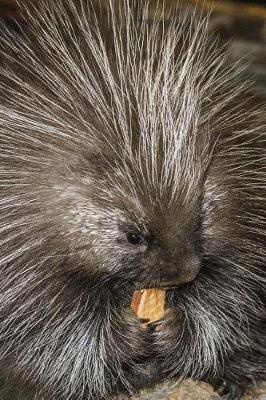 Book cover for Prickly Porcupine Portrait Journal