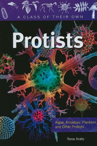 Cover of Protists: Algae, Amoebas, Plankton, and Other Protists