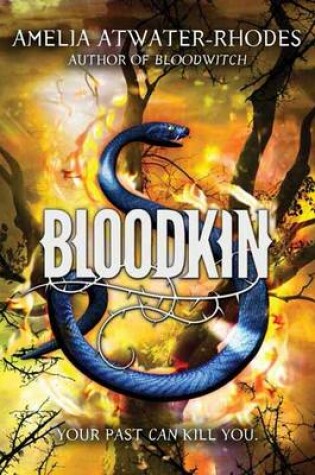 Cover of Bloodkin