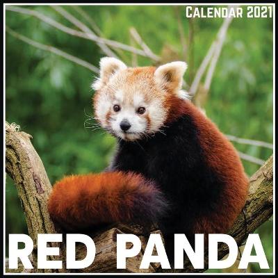 Book cover for Red Panda Calendar 2021