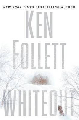 Book cover for Whiteout