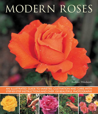 Book cover for Modern Roses