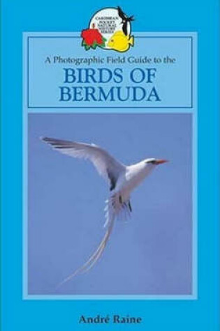 Cover of Birds of Bermuda
