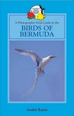 Book cover for Birds of Bermuda