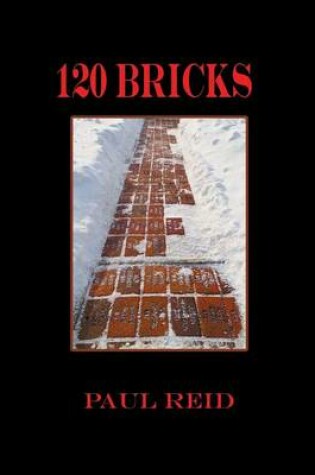 Cover of 120 Bricks