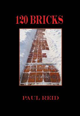 Book cover for 120 Bricks