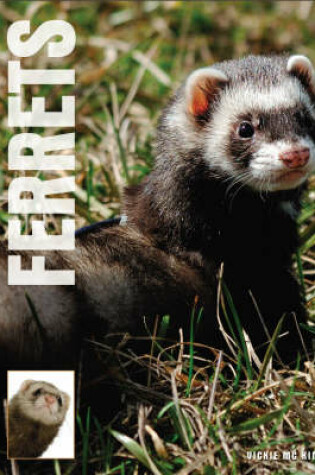 Cover of Ferrets