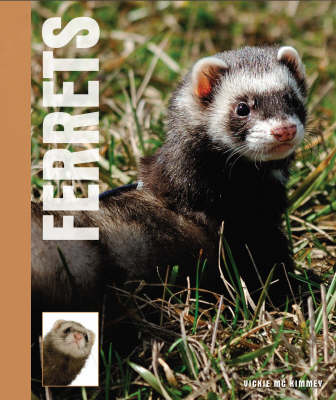 Book cover for Ferrets