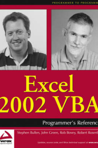 Cover of Excel 2002 VBA