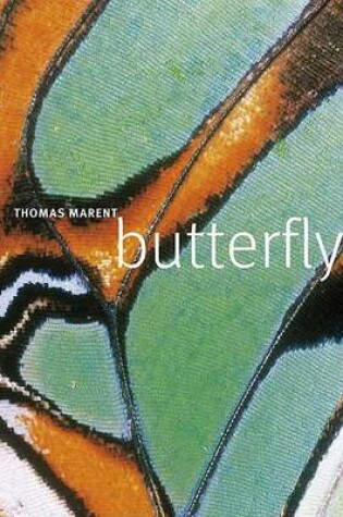 Cover of Butterfly