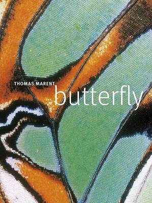 Book cover for Butterfly