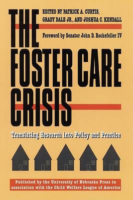 Book cover for The Foster Care Crisis