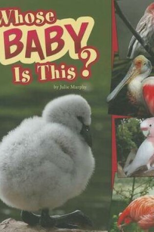 Cover of Whose Baby Is This?
