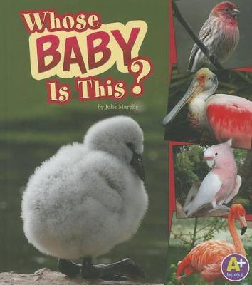 Cover of Whose Baby Is This?