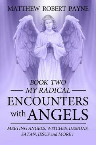 Cover of My Radical Encounters with Angels