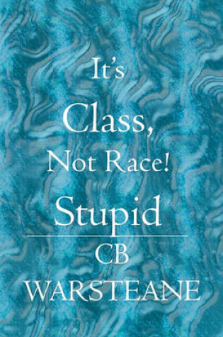 Cover of It's Class Not Race, Stupid