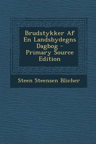 Cover of Brudstykker AF En Landsbydegns Dagbog