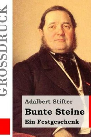 Cover of Bunte Steine (Großdruck)