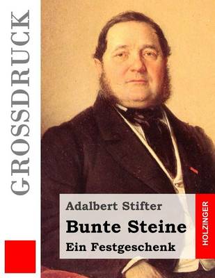 Book cover for Bunte Steine (Großdruck)