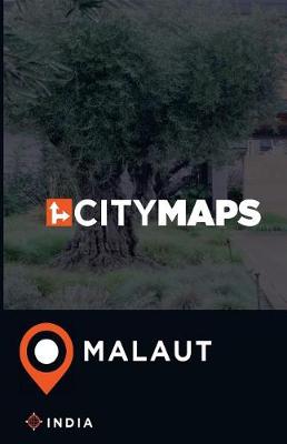 Book cover for City Maps Malaut India